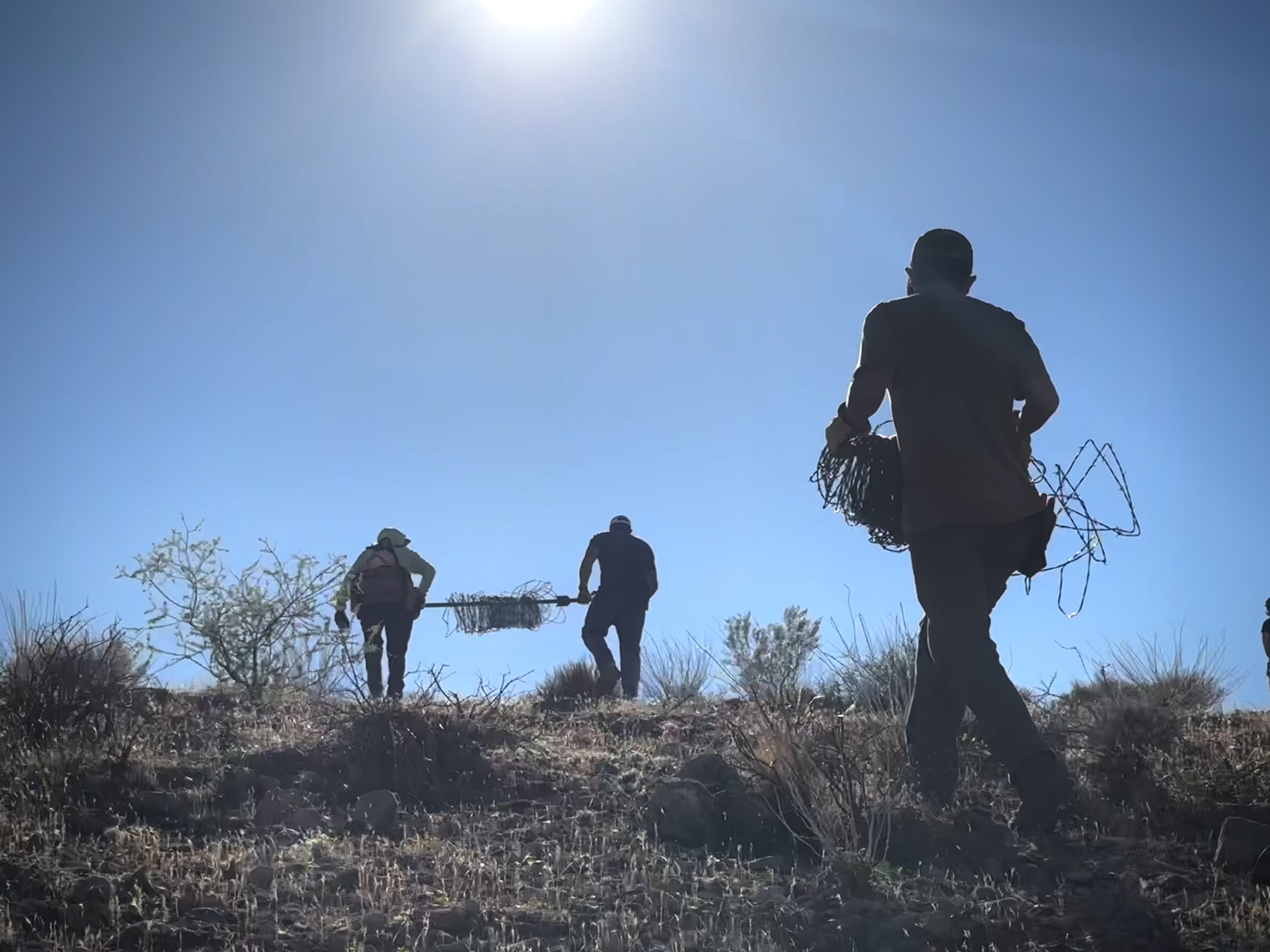 carrying barbed wire